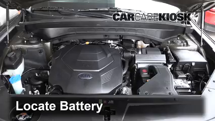 How to Add Power Steering Fluid to a 2020 Kia Telluride EX 3.8L V6